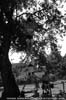TANDEM  SOPRA POSIZ. CRUCIFIX SOTTO POSIZ. KNEE